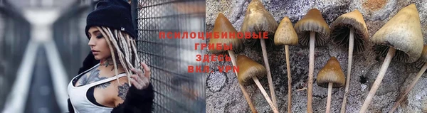 индика Вязники