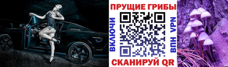 Купить  Туран  Галлюциногенные грибы мухоморы 